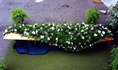 Arte floreale funeraria: anteprima dell'album
